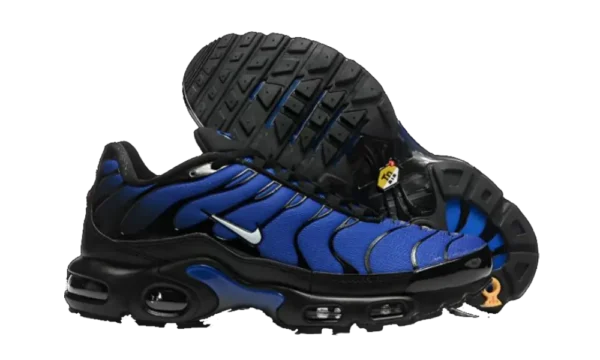 Nike air max plus TN "Dark blue"