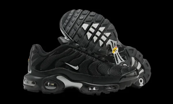 Nike airmax TN 'Black metallic silver'